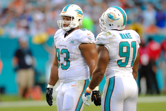 Phinalysis Episode 7: Five most Important Dolphins for 2016